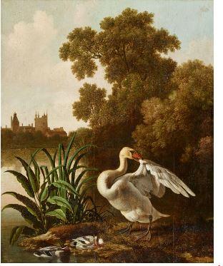 Swan and a Duck on a River Bank with a City in the Distance by 
																	Dirck Wyntrack