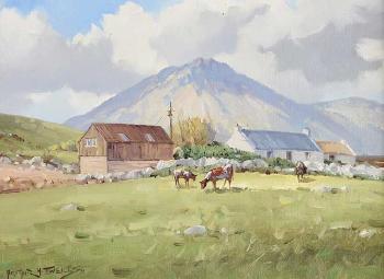 Cattle grazing by Errigal, Donegal by 
																	Arthur H Twells