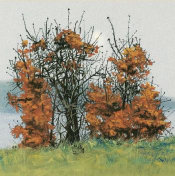 Small Oaks by 
																			Carl Codger