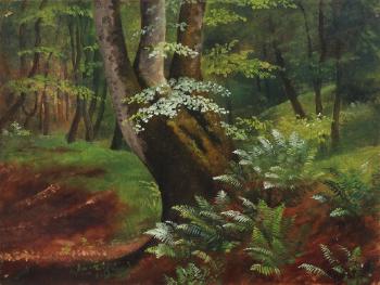 Ferns In The Forest Floor by 
																	Eleonore Tscherning