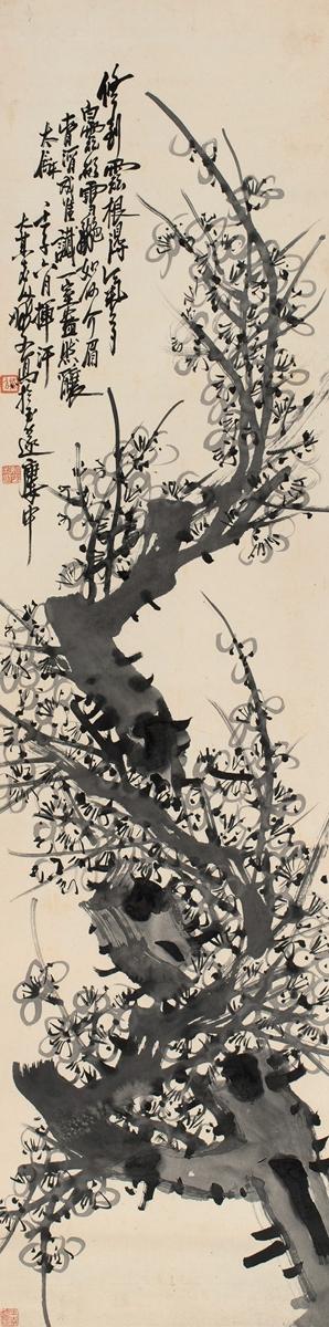 Prunus by 
																	 Yao Xie