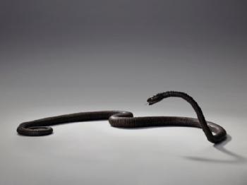An iron articulated sculpture of a snake by 
																	Myochin Katsuharu