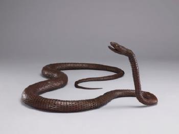 An iron articulated sculpture of a long snake by 
																	 Tanaka Tadayoshi