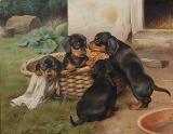 Four Puppies in a basket by 
																			Ejnar Vindfeldt