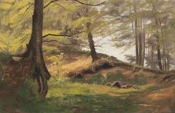 Forest scenery by 
																			A Jacobsen