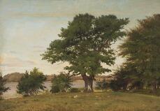 A Danish Summer Landscape From Valsølille Lake by 
																			Peter Raadsig