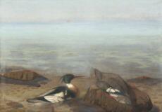 Beach Scenery With Two Merganser by 
																			Jorgen Ploug