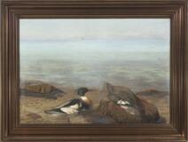 Beach Scenery With Two Merganser by 
																			Jorgen Ploug