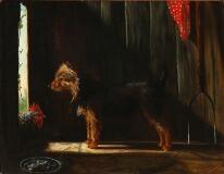 Australian Terrier In A Barn With A Cockerel Peeking Its Head Through An Opening by 
																			Adrienne Lester
