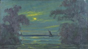 Moonlit seascape by 
																	Louis M Eilshemius