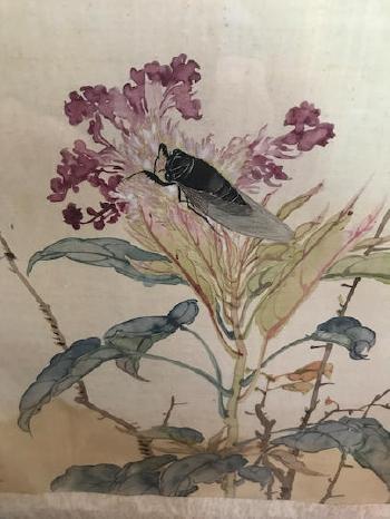 Insects And Flowers by 
																			 Ju Chao