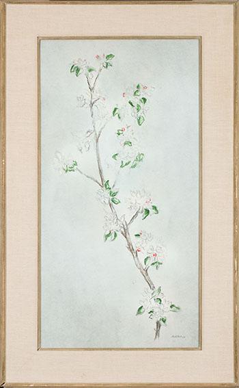 Apple Blossom by 
																			Louis Muhlstock