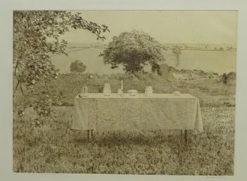 Still Life in the Garden by 
																			David Tindle