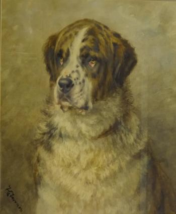 Portrait of a St. Bernard Dog by 
																			Frances C Fairman