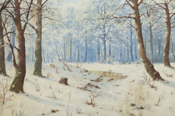 Zimowy las by 
																			Jozef Guranowski