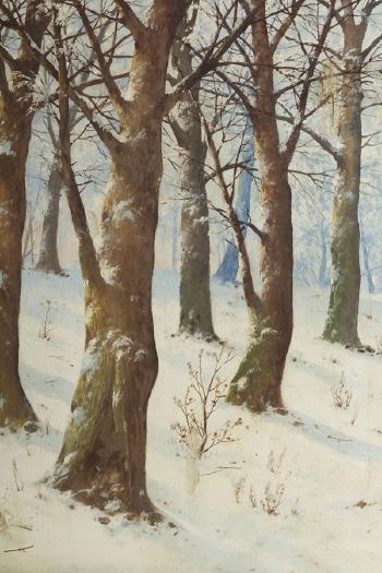 Zimowy las by 
																			Jozef Guranowski