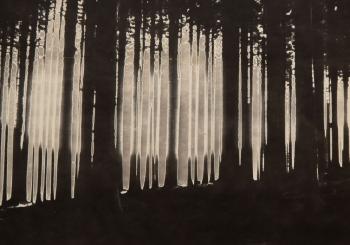 Forest II by 
																			Jozef Kokoszynski