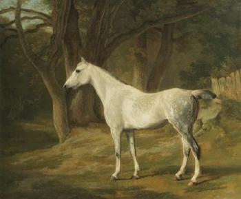 A Grey Hunter In a Wooded Field by 
																	Jacques Laurent Agasse