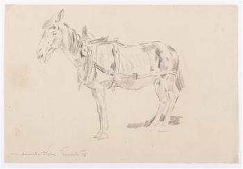 4 Skizzen: Angeschirrter Esel, Tierstudien, Eine Ziege von hinten, Ein Ochsengespann by 
																			Demeter Koko