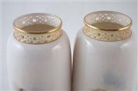 Pair of Royal Worcester vases by Harry Stinton by 
																			Harry Stinton