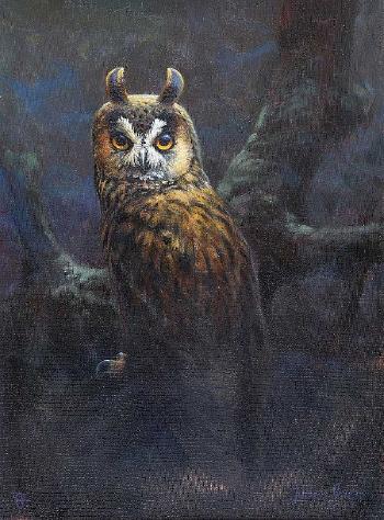 Study Of An Owl by 
																	Julian Friers