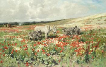 Donkeys In A Poppy Field by 
																	Arthur W Redgate