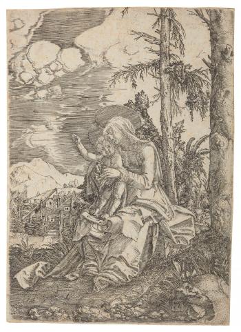 The Virgin With he Blessing Child in a Landscape by 
																	Albrecht Altdorfer