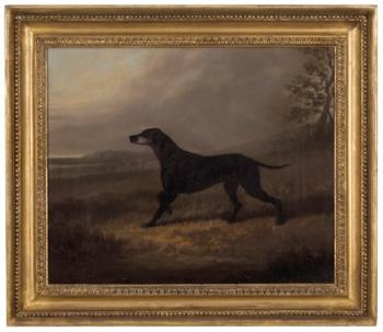 Tippoo, a Pointer In a Landscape by 
																	David Dalby of York