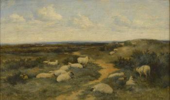 Moutons dans un pâturage  by 
																	Alfred Sisley