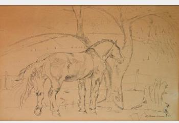 Horse In Field Pen by 
																			William Sommer