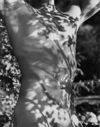 Tyke, Long Pond, Adirondack Park, New York by 
																			Bruce Weber