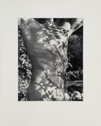 Tyke, Long Pond, Adirondack Park, New York by 
																			Bruce Weber