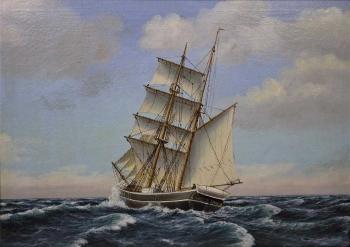 Ship Diana by 
																			Frederik Ernlund