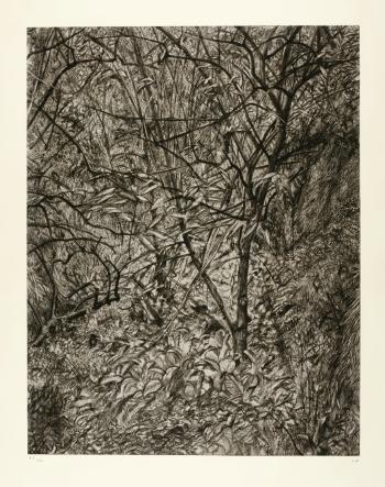 Garden In Winter (F. 97) by 
																	Lucian Freud