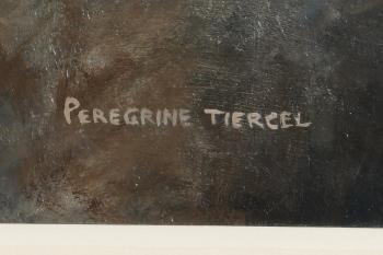 Peregrine Tiercel by 
																			Alastair Proud
