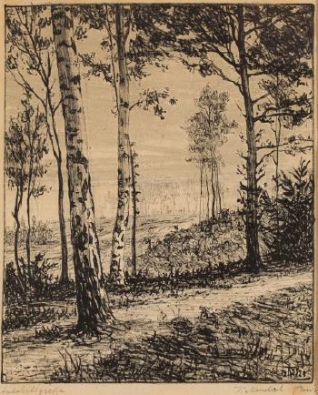 Landscape With Poplars by 
																			Karol Mondral
