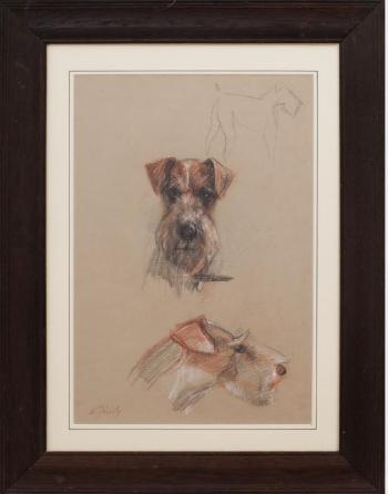 Terrier; White Dog by 
																			Elaine Diverly