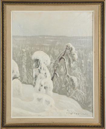 Snowy Pine by 
																			Paavo Kaikkonen