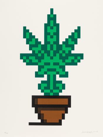 Hollyweed (Brown) by 
																			 Space Invader