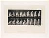 A Selection Of 12 Plates From Animal Locomotion Depicting Women Engaged In Quotidian Activities by 
																			Eadweard Muybridge