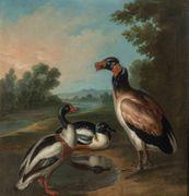 Canard de barbarie by 
																	Frans Snyders