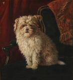 Portrait of a dog by 
																			Valdemar Irminger