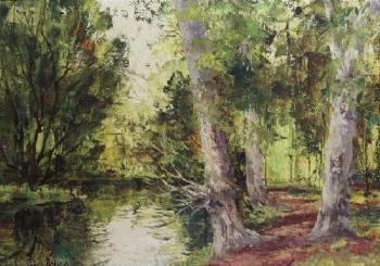 Woodland by 
																	Fergus O'Ryan