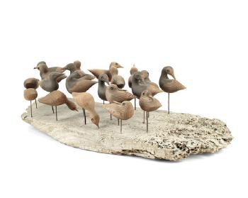 20 Shorebirds by 
																	Guy Taplin