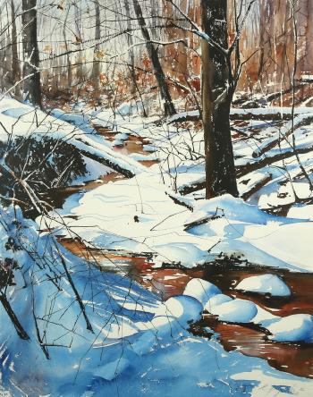 Stream Thru the Snow by 
																			Chris Zmijewski
