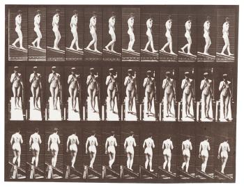 Animal Locomotion, Plate 116, 1887 by 
																	Eadweard Muybridge