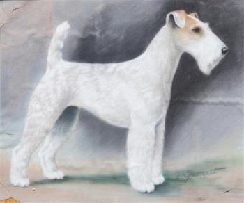 Two Works Of Art Depicting Wire Fox Terriers by 
																	Clarence Calhoun Fawcett