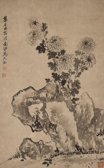 Chrysanthemum And Rocks After Shen Zhou by 
																	 Shen Zhou