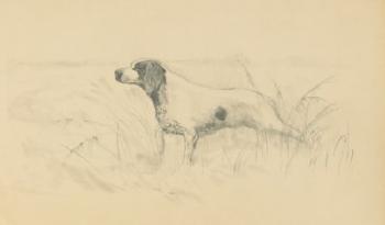A Hunting Dog; A Piper; And Two Studies Of Trees by 
																	Sergei Tchekhonine