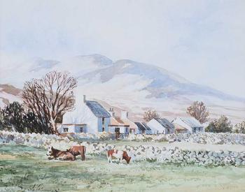 Cattle Grazing In The Mournes by 
																	Gerald Walby